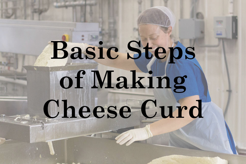 graphics for basic steps of making cheese curds