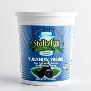 Blueberry Yogurt 32 oz. Container
