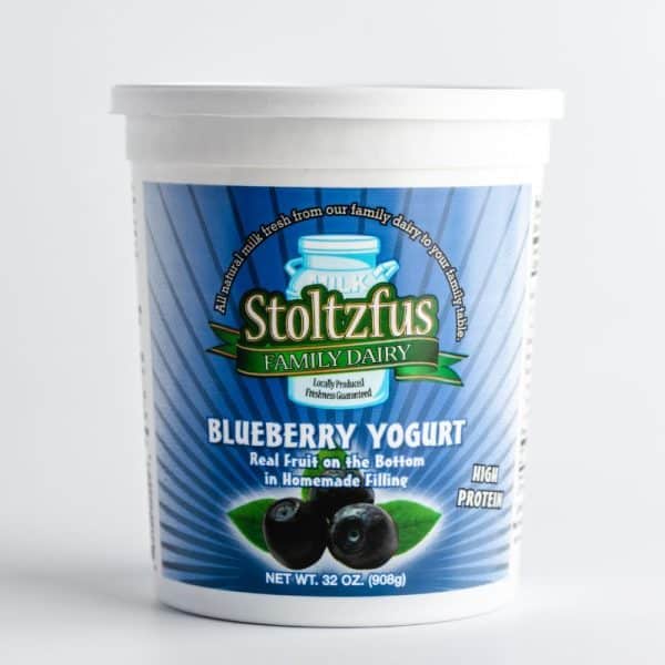 Blueberry Yogurt 32 oz. Container