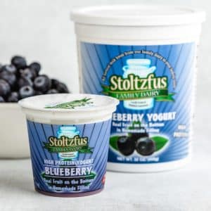Blueberry Yogurt 6 oz. Cup