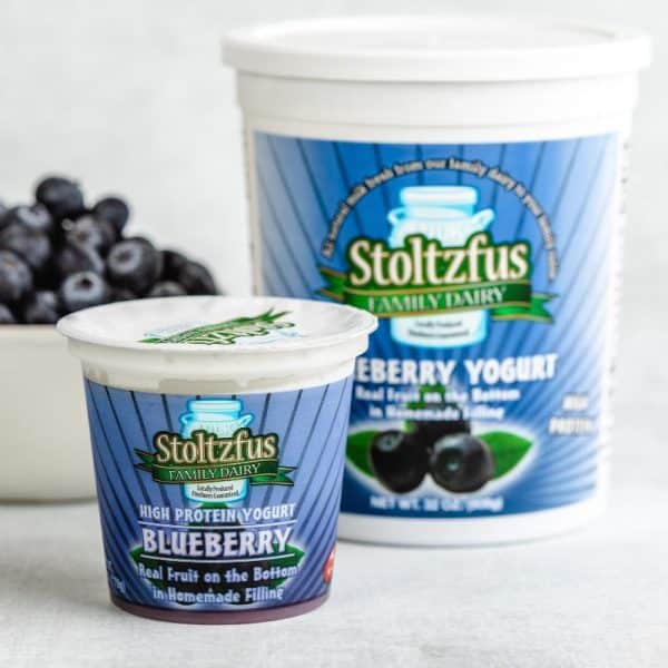 Blueberry Yogurt 6 oz. Cup