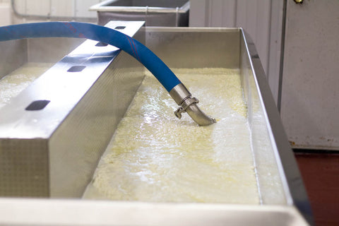 draining table for making cheese curd