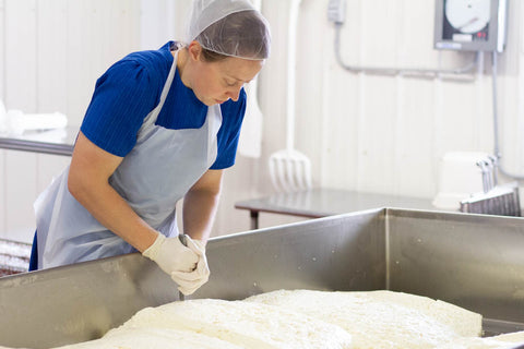 cutting squares from body of cheese