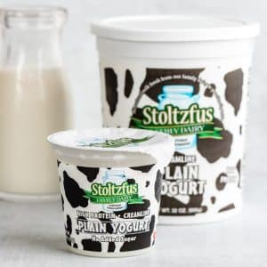 Plain Yogurt 6 oz. Cup