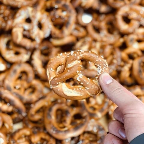Portrait Pretzel Medium
