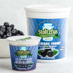 blueberry yogurt v2