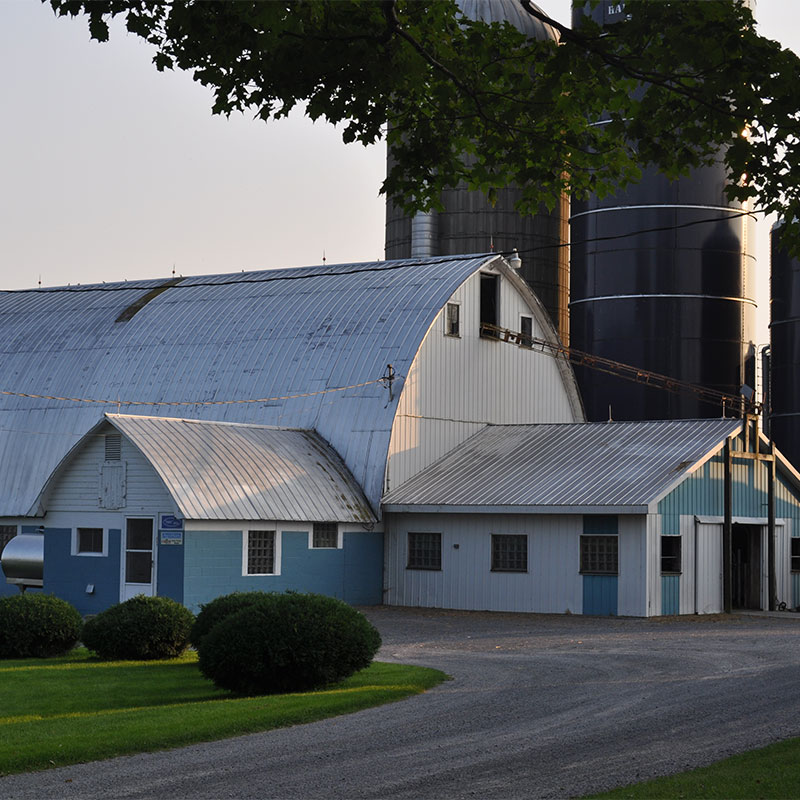 Nate's farm in upstate New York